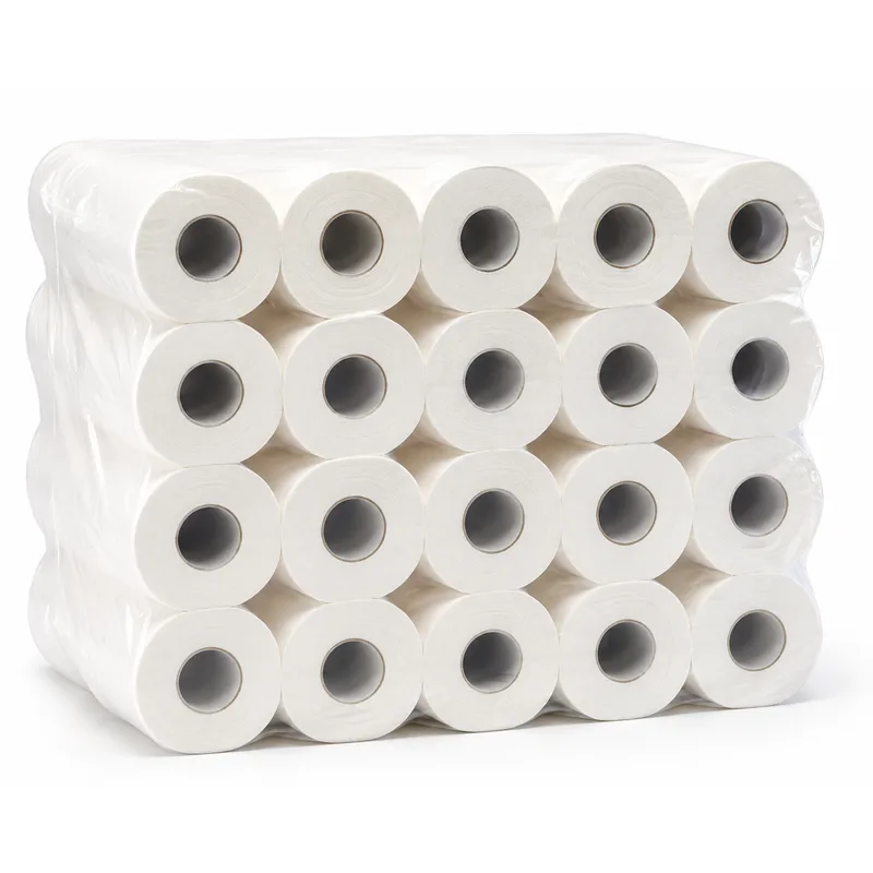 ΧΑΡΤΙ ΥΓΕΙΑΣ ΕΠΑΓΓΕΛΜΑΤΙΚΟ 450gr (12άδα)